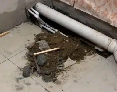 美溪卫生间漏水检测哪家好